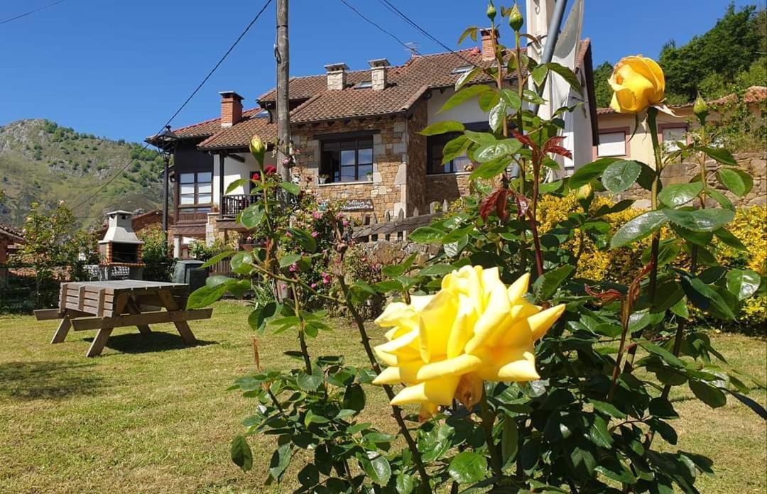 Apartamentos Rurales El Collaín de Campiellos Exterior foto